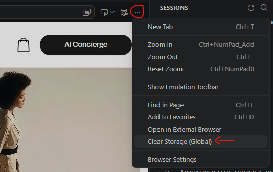 Clear browser storage